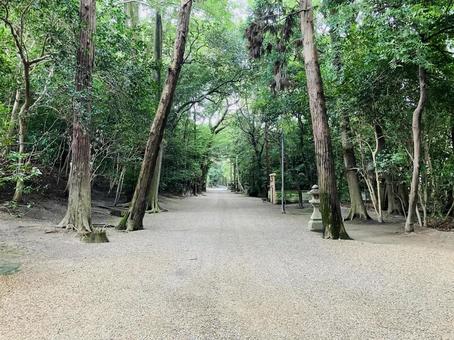 廣瀬大社 参道 廣瀬大社 参道の写真
