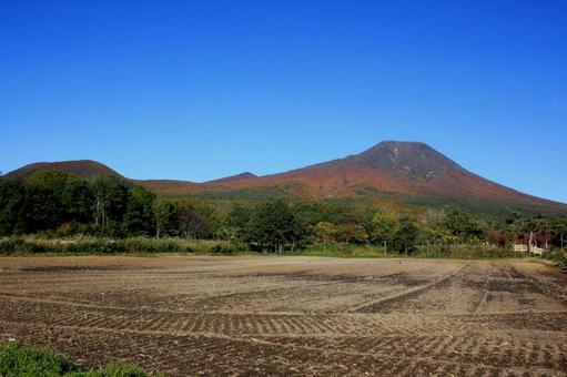 岩木山 紅葉 秋 岩木山 紅葉 秋 秋晴れ,紅葉,津軽富士の写真素材
