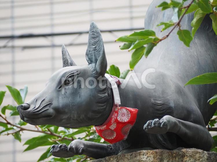 安倍晴明神社　お稲荷さん お稲荷さん,狐,像の写真素材
