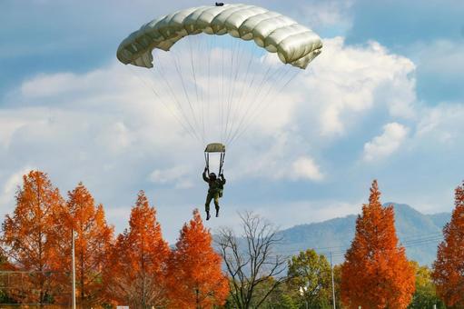 紅葉の中へ降下する陸上自衛隊の空挺隊員 陸上自衛隊,自衛隊,ミリタリーの写真素材