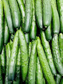 野菜・キュウリ キュウリ,黄瓜,胡瓜の写真素材