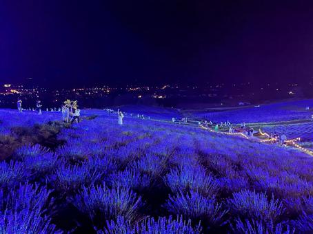 ラベンダーフェスタかみふらの 日の出公園 ラベンダーフェスタかみふらの 日の出公園の写真
