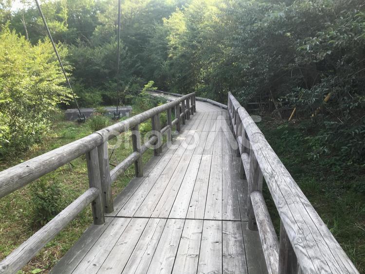 つつじ吊橋園地　木道 観光地,観光,自然の写真素材