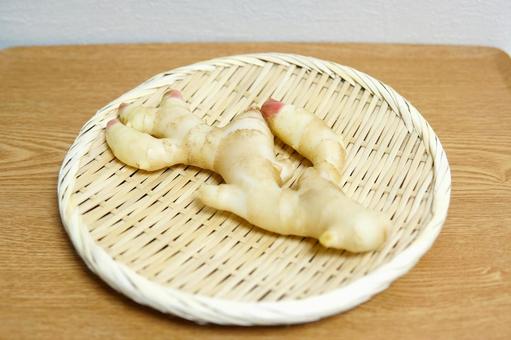 新生姜 新生姜の写真