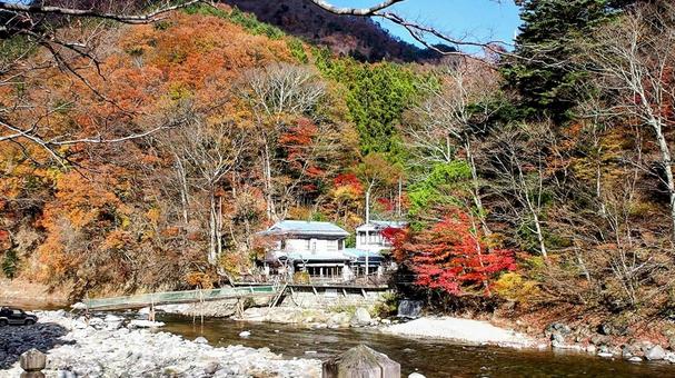 秋の塩原温泉郷・箒川の紅葉(那須塩原市) 秋の塩原温泉郷・箒川の紅葉(那須塩原市) 秋,塩原温泉郷,紅葉の写真素材