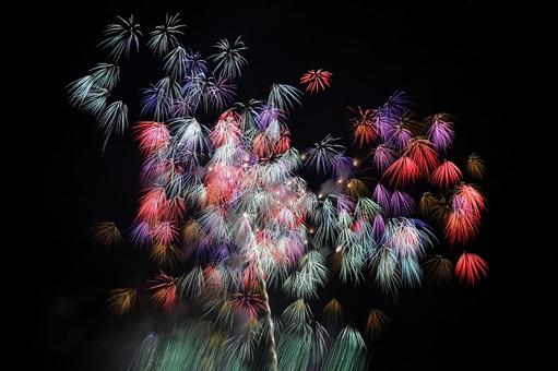 綺麗に撮れた伊勢花火_13 綺麗に撮れた伊勢花火_13の写真