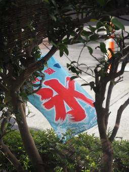 かき氷の旗 かき氷,風物詩,夏の写真素材