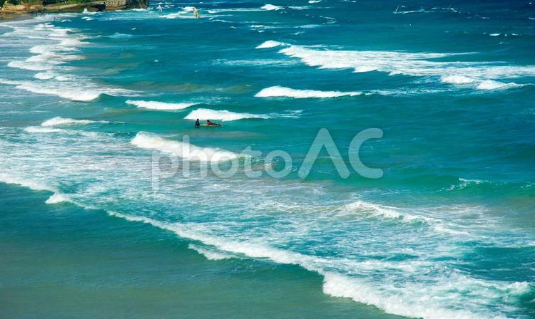 美しい伊豆白浜海岸 白浜海岸,海,エメラルドグリーンの写真素材