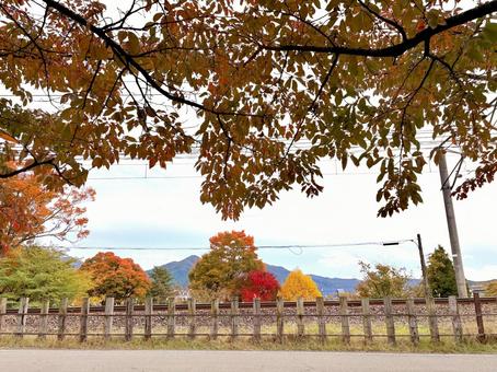 とある田舎町の線路沿いの風景(秋) 01 秋,紅葉,木々の写真素材