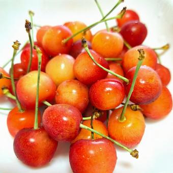 Cherries①, JPG Cherries①, JPG