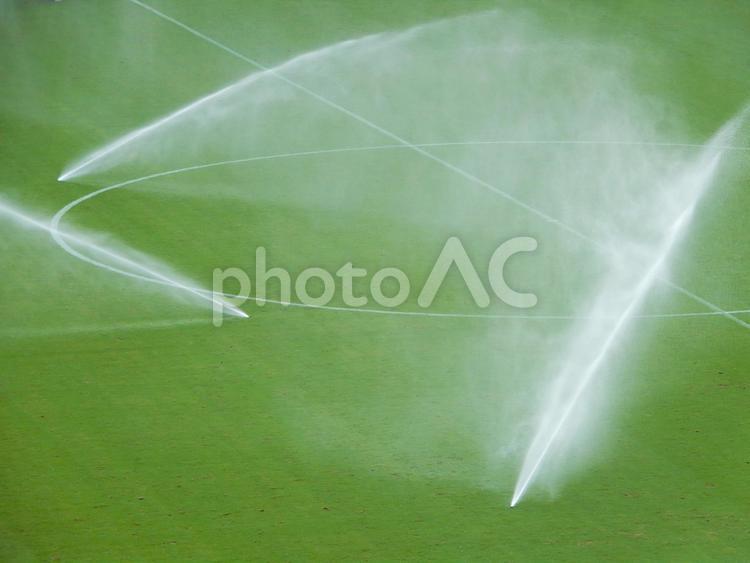 サッカーの芝生の散水装置 サッカー,芝,芝生の写真素材