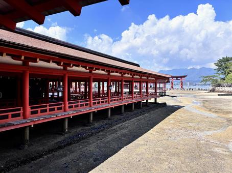 厳島神社 厳島神社 厳島神社,広島,宮島の写真素材