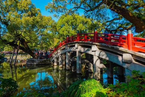 【福岡】太宰府天満宮の風景 福岡,太宰府駅,太宰府の写真素材