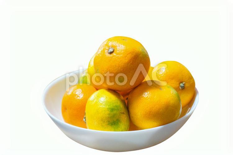 【素材としてどうぞ】みかん盛り みかん,果汁を多く含む,汁の写真素材