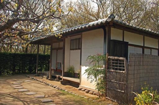 Tea Room (Panorama), JPG