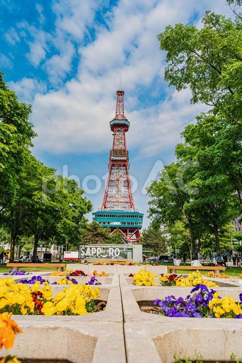 北海道　札幌市　大通り公園の風景 北海道,hokkaido,札幌市の写真素材