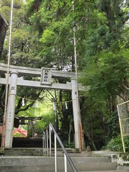Photo, kochi prefecture, ootake-cho, yasaka shrine, 