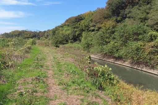 緑に包まれた自然散策路 自然風景,森の小道,秋の写真素材