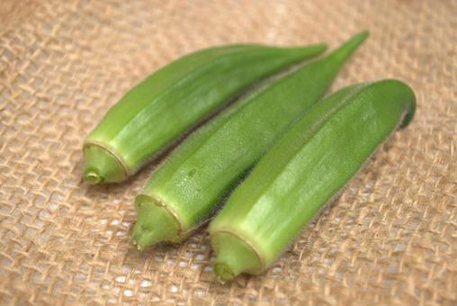 収穫した新鮮なオクラの写真