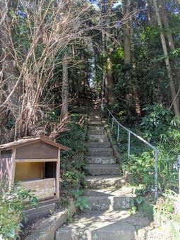 厳かな空気が漂う雨宮神社の階段 厳かな空気が漂う雨宮神社の階段 雨宮神社,参道,階段の写真素材