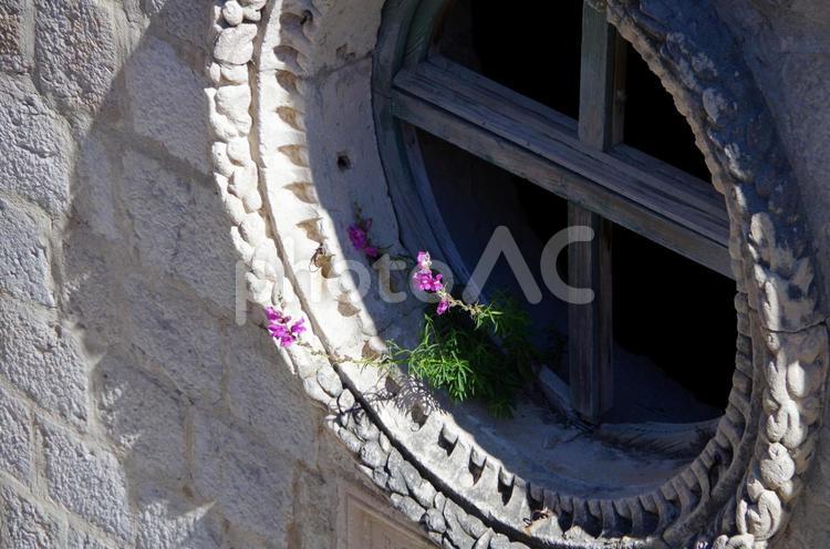 クロアチア　ドブロヴニク　教会の窓際に咲く花 クロアチア,ドブロブニク,ドブロヴニクの写真素材