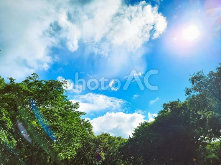 空　青空　夏空　太陽　雲　クラウド　背景 夏空,晴天,太陽の写真素材