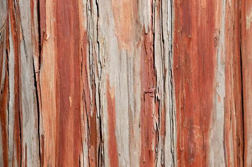 「剥がれ落ちる赤茶色の樹皮テクスチャ 樹皮,テクスチャ,背景の写真素材