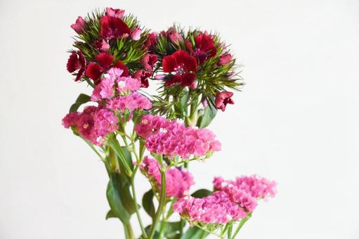 Photo, nagisa, nadesico, statis, 