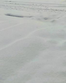 畑を隠す真っ白な雪 畑を隠す真っ白な雪の写真
