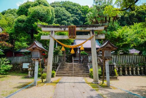 【岐阜】伊奈波神社 2025の写真