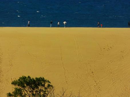 鳥取砂丘と海 鳥取砂丘,馬の背,砂山の写真素材