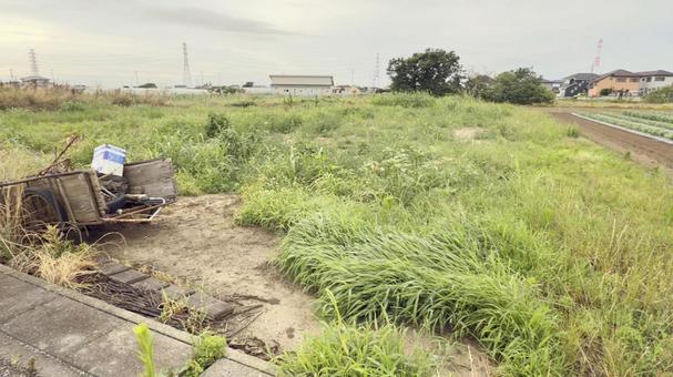 荒れた草だらけの畑 畑,荒れた畑,カマの写真素材
