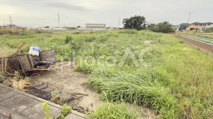 荒れた草だらけの畑 畑,荒れた畑,カマの写真素材
