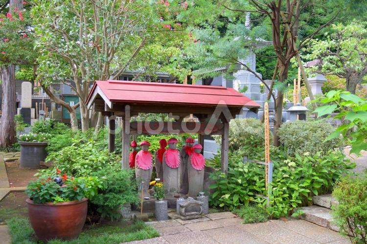 赤い前掛けも美しいお地蔵さんのいるお寺 寺,お地蔵さん,寺院の写真素材