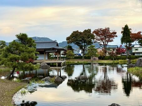 秋の夕方　福井県紫式部公園 紫式部公園,福井県,庭園の写真素材
