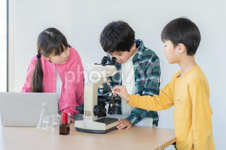 顕微鏡で観察する小学生 顕微鏡,観察,理科の写真素材