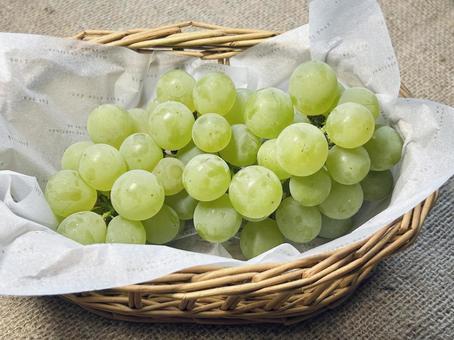 マスカット マスカット,ぶどう,フルーツの写真素材