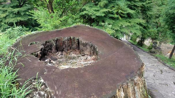 歴史を刻む 歴史を刻む 群馬県,富岡市,妙義山の写真素材