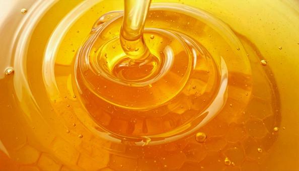 はちみつの写真