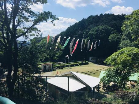 鯉のぼり 鯉のぼり 風景,景色,山の写真素材