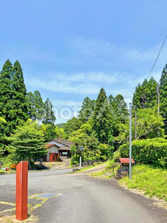 田舎の風景 田舎,風景,道の写真素材