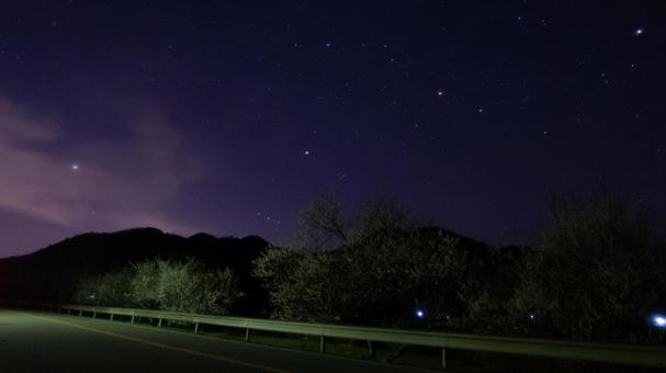 梅の道と星降る夜空 梅の道と星降る夜空の写真