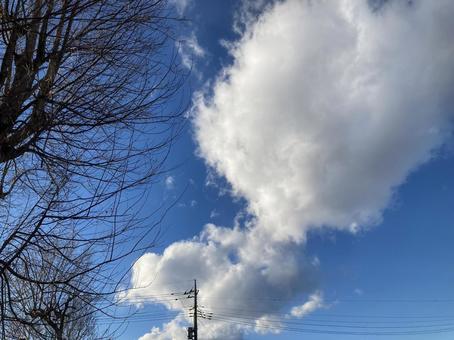 大きな雲 大きな雲の写真