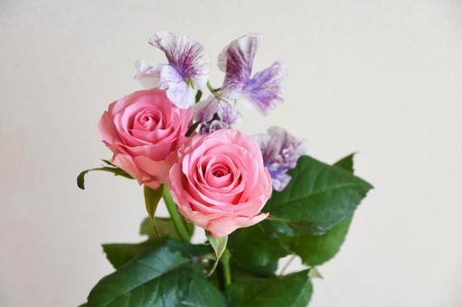 薔薇とスイートピー 薔薇とスイートピー ピンク,薔薇,バラの写真素材