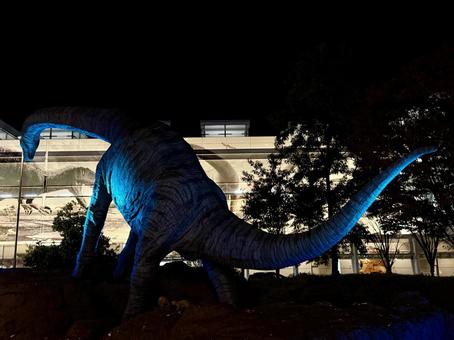 福井駅　夜の恐竜広場　世界糖尿病デー ブルーライト,イルミネーション,晩秋の写真素材
