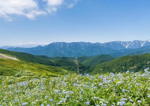 夏の高原#1 夏の高原#1の写真