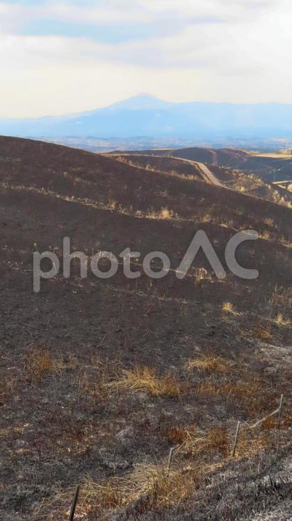 阿蘇　大観峰　野焼き直後の風景 大観峰,阿蘇くじゅう国立公園,阿蘇の写真素材
