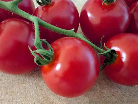 Cherry tomatoes on a branch, JPG