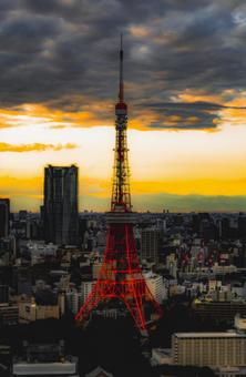 東京タワーはやっぱり美しい 東京タワーはやっぱり美しいの写真