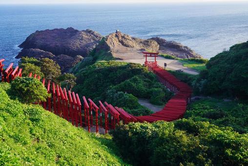 赤い鳥居 元乃隅神社 赤い鳥居 元乃隅神社 元乃隅稲成神社,元乃隅神社,神社仏閣の写真素材